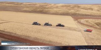 Туркестанская область первой в стране начинает уборку урожая