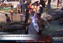 Экстремальная жара в Шымкенте