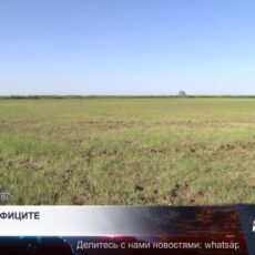 В Туркестанской области сокращают посевы влаголюбивых культур