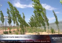 Большой парк вместо свалки
