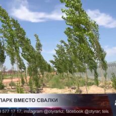 Большой парк вместо свалки
