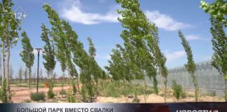 Большой парк вместо свалки