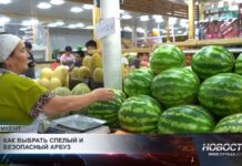 Как выбрать сочный и спелый арбуз?