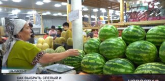 Как выбрать сочный и спелый арбуз?