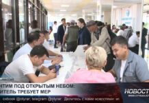 Интим под открытым небом: житель Шымкента просит принять меры