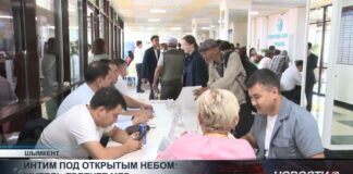 Интим под открытым небом: житель Шымкента просит принять меры