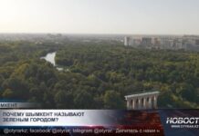 Почему Шымкент называют «Зеленым городом»?