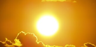 До +44 градусов ожидается в Казахстане в ближайшие дни