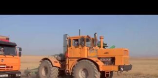 Экстремальная жара: как аграрии защищают урожай от пожара?