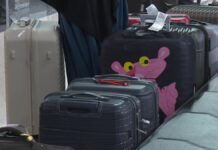 Транспортные полицейские пресекли незаконный ввоз религиозной литературы