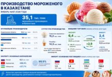 Туркестанская область вошла в число лидеров по производству мороженого