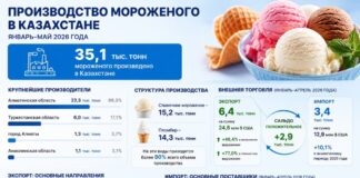 Туркестанская область вошла в число лидеров по производству мороженого