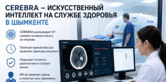 Искусственный интеллект CEREBRA внедряют в медицинских учреждениях Шымкента