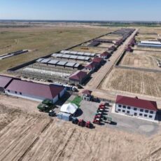 В Сауранском районе строят не имеющий аналогов в стране откормочный комплекс