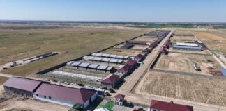 В Сауранском районе строят не имеющий аналогов в стране откормочный комплекс
