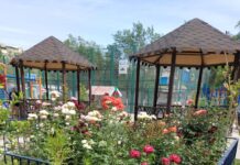 Хорошая новость: конкурс-акцию «Таза қала» возродили!