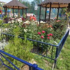 Хорошая новость: конкурс-акцию «Таза қала» возродили!