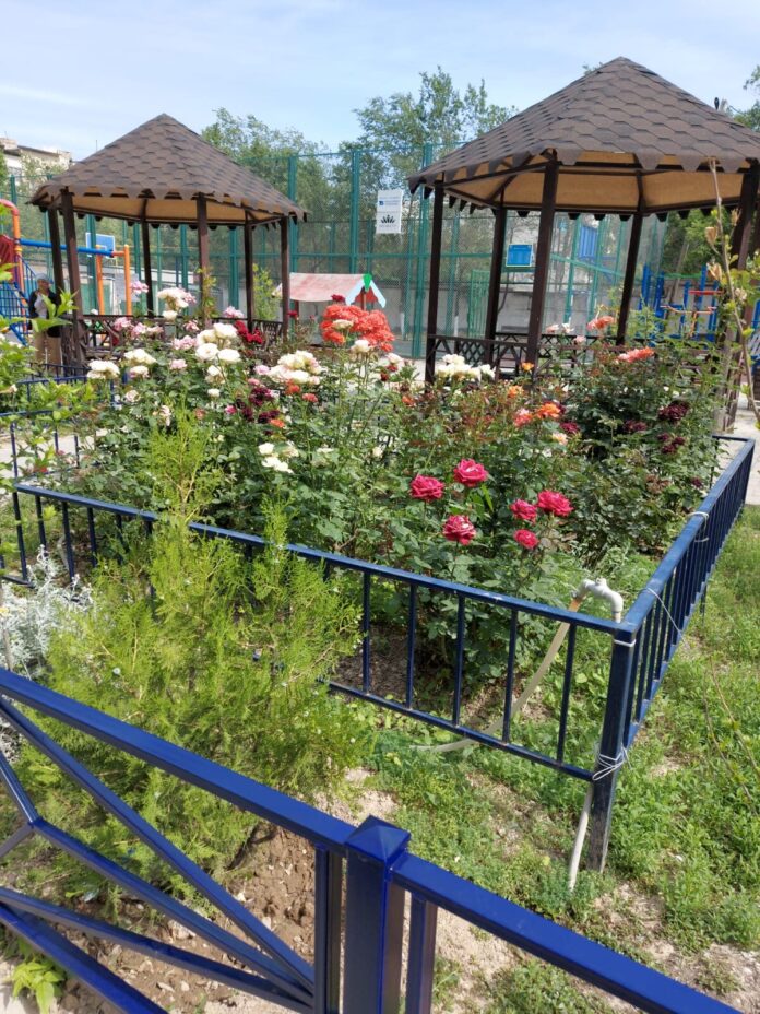 «Таза қала» («Чистый город»)