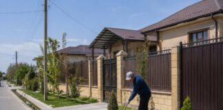 Убрать мусор и скосить траву: новые обязанности владельцев частных домов в Казахстане