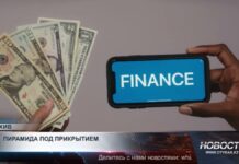 Финансовые пирамиды все быстрее адаптируются к цифровой среде