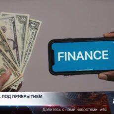 Финансовые пирамиды все быстрее адаптируются к цифровой среде