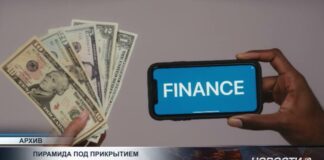 Финансовые пирамиды все быстрее адаптируются к цифровой среде