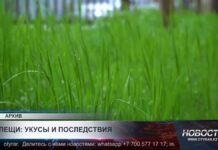В Туркестанской области зарегистрировали восемь случаев ККГЛ