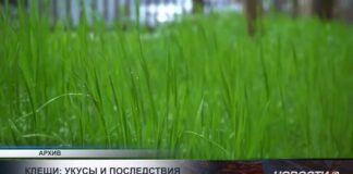 В Туркестанской области зарегистрировали восемь случаев ККГЛ