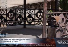 Не бросай мусор где попало : получишь штраф