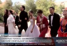 «Золотые голоса» Шымкента сделали свой выбор на выборах в Курултай