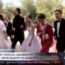 «Золотые голоса» Шымкента сделали свой выбор на выборах в Курултай