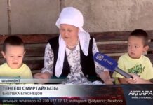 Близнецы по соседству: необычная история одной улицы Шымкента