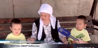 Близнецы по соседству: необычная история одной улицы Шымкента