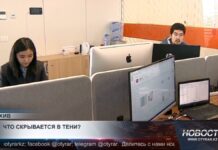 Теневая экономика в Казахстане постепенно выходит из тени