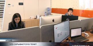 Теневая экономика в Казахстане постепенно выходит из тени