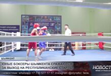 Юные боксеры Шымкента сражаются за выход на республиканские старты