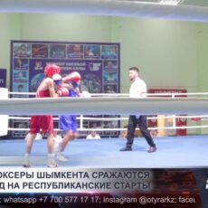 Юные боксеры Шымкента сражаются за выход на республиканские старты