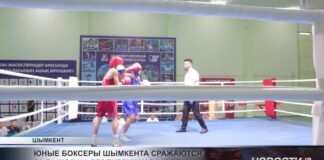 Юные боксеры Шымкента сражаются за выход на республиканские старты
