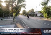 4-5 аварий в день: шымкентцы жалуются на опасный участок дороги