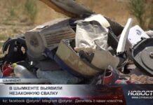 В Шымкенте выявили незаконную свалку