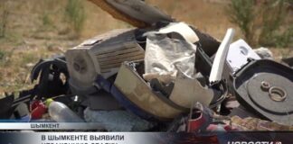 В Шымкенте выявили незаконную свалку