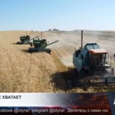 Льготного дизельного топлива для сельхозпроизводителей, снова не хватает