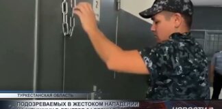 Подозреваемых в жестоком нападении на женщину в Ленгере задержали