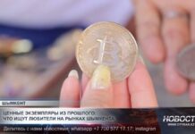 Ценные экземпляры из прошлого: что ищут любители на рынках Шымкента?