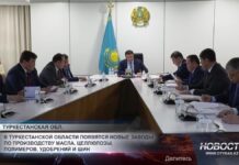В Туркестанской области появятся новые заводы