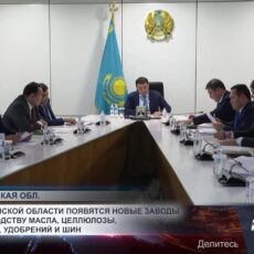 В Туркестанской области появятся новые заводы