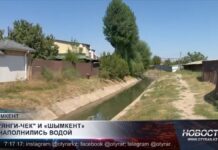 Для улучшения микроклимата в Шымкенте, ирригационные каналы заполнили водой