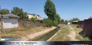 Для улучшения микроклимата в Шымкенте, ирригационные каналы заполнили водой