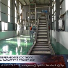 Завод по переработке костного материала запустят в Темирлане