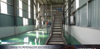Завод по переработке костного материала запустят в Темирлане
